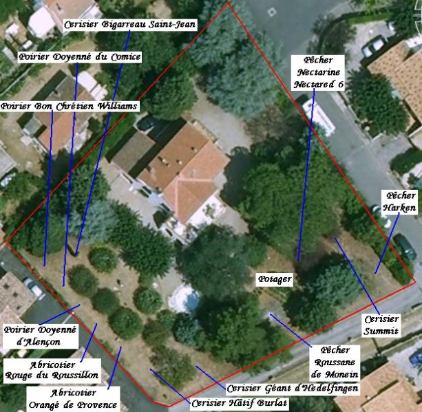 Fichier:Jardin.jpg